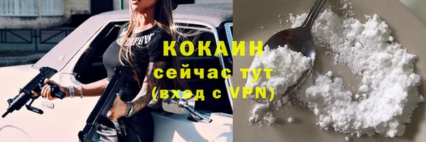 индика Белокуриха