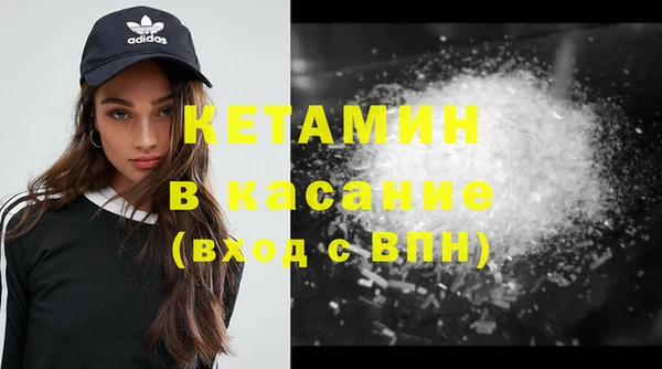 сатива Беломорск