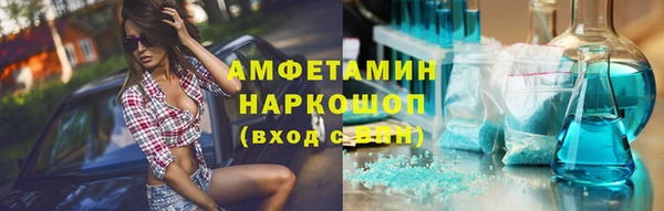индика Белокуриха