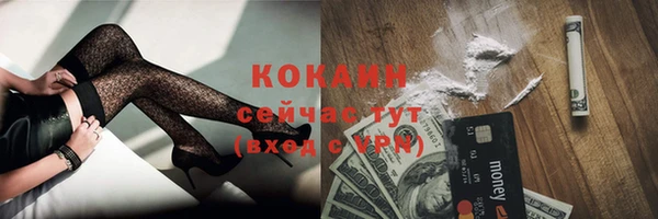 индика Белокуриха