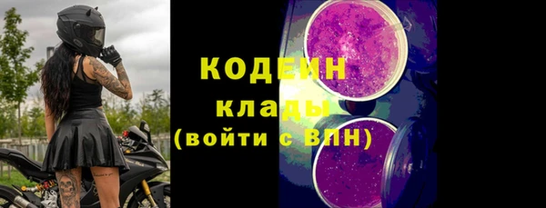 сатива Беломорск
