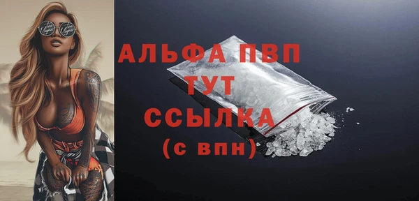 сатива Беломорск