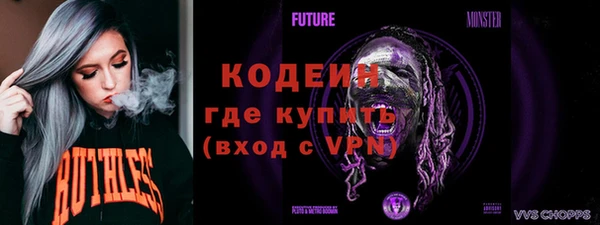индика Белокуриха