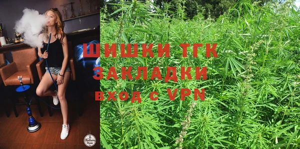 индика Белокуриха