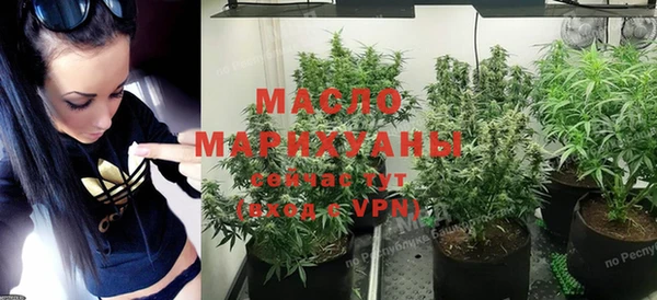 сатива Беломорск
