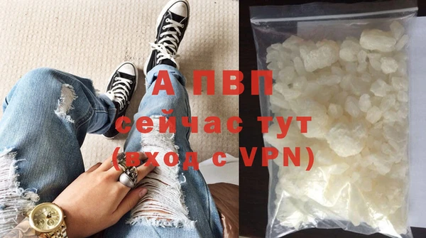 индика Белокуриха