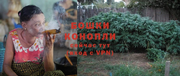 индика Белокуриха