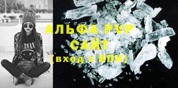 индика Белокуриха