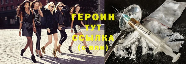 сатива Беломорск