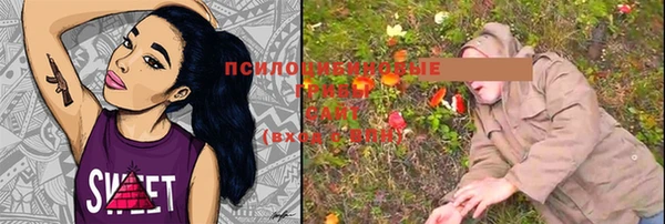 индика Белокуриха