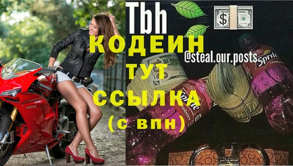 сатива Беломорск