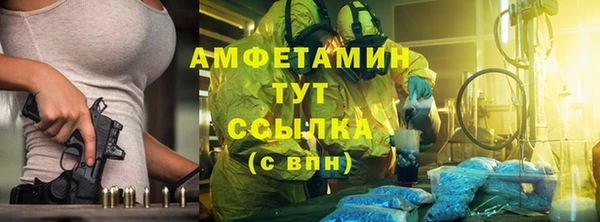 индика Белокуриха